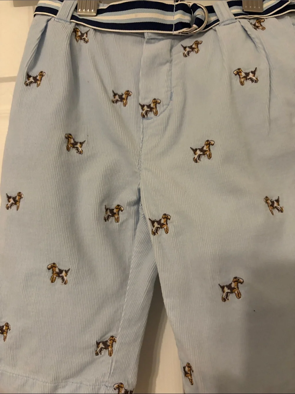 Ralph Lauren Light Blue Corduroy Embroidered Dog Shorts with Stripe Belt-9 Month